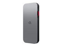 Lenovo Go - Power bank - 10000 mAh - 30 Watt - 3 A - 2 utdatakontakter (USB-C) - åsksvart - Världsomspännande - för 100e Chromebook Gen 3 82UY; ThinkBook 14 G2 ITL 20VD; ThinkCentre M75t Gen 2 11W5 40ALLG1WWW