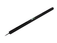 APC EasyPDU EPDU2216S - Kraftdistributionsenhet (kan monteras i rack) - omkopplingsbar - AC 400 V - 11 kW - 11040 VA - 3-fas - Ethernet 10/100/1000, serial, USB - ingång: IEC 60309 3P+N+PE - utgångskontakter: 27 (21 x IEC 60320 C13, 6 x IEC 60320 C19) - 0U - 3 m sladd - svart EPDU2216S