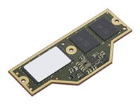 Lenovo - LPDDR5X SDRAM - modul - 64 GB - CAMM - 7500 MT/s - grön - för ThinkPad P1 Gen 7 21KV, 21KW 4X71Q25457