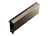 NVIDIA Tesla - GPU-beräkningsprocessor - A100 Tensor Core - 40 GB HBM2 - PCIe 3.0 - fläktlös - för Nimble Storage dHCI Large Solution with HPE ProLiant DL380 Gen10; ProLiant DL380 Gen10 R6B53C