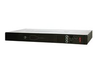 APC Rack Automatic Transfer Switch AP4423 - Redundant omkopplare (kan monteras i rack) - AC 230 V - Ethernet 10/100, RS-232, USB - utgångskontakter: 9 - 1U - svart - för P/N: AR106SH6, AR109SH4, AR109SH6, AR112SH4, AR112SH6, SCL400RMJ1U, SCL500RMI1UNC AP4423
