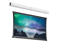 Da-Lite Tensioned DescenderPro - Projektorduk - takmontering - motoriserad - 230 V - 158.27" (402 cm) - 16:9 - Matte White (Tensioned) - RAL 9016 10105590
