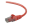 Belkin High Performance - Patch-kabel - RJ-45 (hane) till RJ-45 (hane) - 2 m - UTP - CAT 6 - formpressad, hakfri - röd - för Omniview SMB 1x16, SMB 1x8; OmniView SMB CAT5 KVM Switch