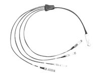 Cisco Direct-Attach Breakout Cable - Nätverkskabel - SFP+ till QSFP+ - SFF-8431/SFF-8436/SFF-8461 - aktiv - för Nexus 2348, 31XX, 93XX, 93XXX, X97160, X9736; ONE Nexus 32XX, 92XX, 93XXX; UCS C4200 QSFP-4X10G-AC10M=