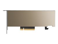 NVIDIA - GPU-beräkningsprocessor - A2 - 16 GB GDDR6 - PCIe 4.0 x8 låg profil - fläktlös TCSA2MATX-PB