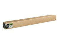 Epson Fine Art Bright II - Bomull - slät matt - 490 mikron - ljust vit - Rulle (162,6 cm x 15 m) - 300 g/m² - 1 rulle (rullar) box - lumppapper C13S450273NQ