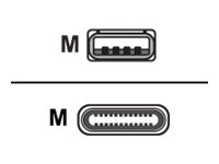 Cisco - USB-kabel - USB (hane) till USB-C (hane) - 4 m - för Webex Room Kit Mini CAB-USBC-4M-GR=