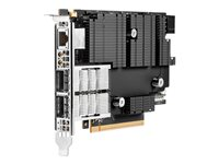 HPE InfiniBand NDR200 MCX755106AC-HEAT Adapter - Nätverksadapter - PCIe 5.0 x16 - 200Gb Ethernet / 200Gb Infiniband x 2 P65333-H21