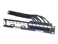 APC - Nätverkskabel - TAA-kompatibel - RJ-45 (hona) till RJ-45 (hona) - UTP - CAT 6 - svart DDCC6-050
