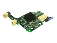 Emulex 10 GbE Virtual Fabric Adapter II for IBM BladeCenter - Nätverksadapter - PCIe 2.0 x8 - 10GbE - 2 portar - för BladeCenter HS22 7870; HS22V 7871; HS23E 8038; HX5 7873 00Y3264