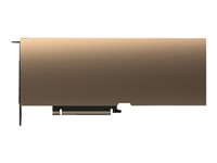 NVIDIA - GPU-beräkningsprocessor - NVIDIA A40 - 48 GB GDDR6 - PCIe 4.0 x16 - 3 x DisplayPort - fläktlös TCSA40M-PB