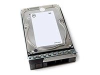 Dell - Kundsats - hårddisk - 4 TB - 512n - inbyggd - 3.5" - SAS 12Gb/s - 7200 rpm 161-BCFT