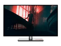 Lenovo ThinkVision P27h-30 - LED-skärm - QHD - 27" - med ThinkVision MC 60 monitor webcam 63A1ZAT1EU