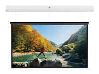 Da-Lite DescenderPro - Projektorduk - takmontering - motoriserad - 230 V - 97.6" (248 cm) - 16:10 - Matte White - RAL 9016 10101755