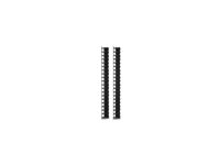 APC - Rackpanel för kabelhantering - svart - 42U - TAA-kompatibel (paket om 2) - för P/N: SMX2KR2UNCX145, SMX2KR2UX145, SMX3000RMX93, SMX3KR2UNCX145, SRT1000RMXLI-NC AR7721