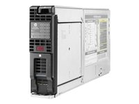 HPE D2220sb Storage Blade - Hårddiskarray - 14.4 TB - 12 fack (SAS-2) - SAS 6Gb/s (extern) - BTO - för ProLiant BL660c Gen8 QW917A