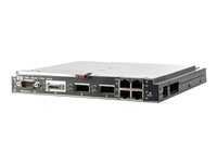 HPE 1:10Gb Ethernet BL-c Switch - Switch - Administrerad - 16 x 10/100/1000 + 2 x XFP + 4 x 10/100/1000 + 1 x 10GBase-CX4 - insticksmodul - för BLc3000 Enclosure; BLc7000 Enclosure; BLc7000 Three-Phase Enclosure 438031-B21
