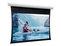 Da-Lite Tensioned Elpro Concept - Projektorduk - takmontering, väggmontering - motoriserad - 230 V - 112.99" (287 cm) - 16:9 - HD Progressive 1.3 - RAL 9016 10101188