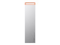 Lenovo PS8S - SSD - 1 TB - extern (portabel) - USB 3.2 Gen 2 (USB-C kontakt) - isgrå 4XB1T88412