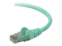 Belkin - Patch-kabel - RJ-45 (hane) till RJ-45 (hane) - 10 m - CAT 5e - formpressad, hakfri - grön - för Omniview SMB 1x16, SMB 1x8; OmniView SMB CAT5 KVM Switch A3L791B10M-GRNS