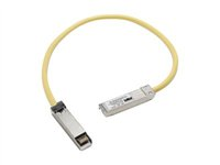 Cisco - Patch-kabel - SFP (hane) till SFP (hane) - för Catalyst 3560, 3560E, 3560G, 3560V2, 3560X CAB-SFP-50CM=