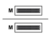 Cisco - 100GBase direktkopplingskabel - QSFP28 (hane) till QSFP28 (hane) - 5 m - fiberoptisk - aktiv - blå - återanvänd - för P/N: C9500-32C-EDU, C9500-32QC-EDU, N9K-X9788TC-FX-RF, NCS-55A1-24H-B, NCS-55A1-36H-SE-S QSFP-100G-AOC5M-RF