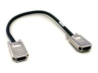 D-Link - Stackningskabel - 4 x InfiniBand (hane) till 4 x InfiniBand (hane) - för DGS 3224SR DEM-CB50
