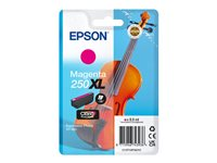 Epson 250XL - 8.9 ml - XL - magenta - original - blister - bläckpatron - för P/N: C11CL95401, C11CL95402 C13T16P34010