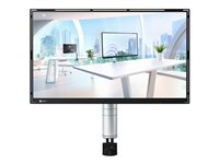 EIZO FlexScan FLT-FBK - LED-skärm - Full HD (1080p) - 23.8" FLT-FBK