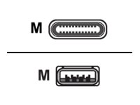 Huddly - USB-kabel - USB typ A (hane) till USB-C (hane) - USB 3.0 - 1.15 m 7090043790351