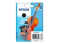 Epson 250XL - 10.2 ml - XL - svart - original - blister - bläckpatron - för P/N: C11CL95401, C11CL95402 C13T16P14010