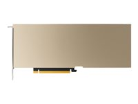 NVIDIA - GPU-beräkningsprocessor - A10 - 24 GB GDDR6 - PCIe 4.0 x16 - fläktlös TCSA10M-PB