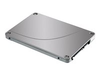 HP - Hårddisk - 500 GB - inbyggd - 2.5" - SATA 3Gb/s - 7200 rpm - för ZBook 14u G5, 14u G6, 15 G5, 15u G2, 15u G4, 15u G6, 15v G5, 17 G2, 17 G3, 17 G4, 17 G5 F3B97AA